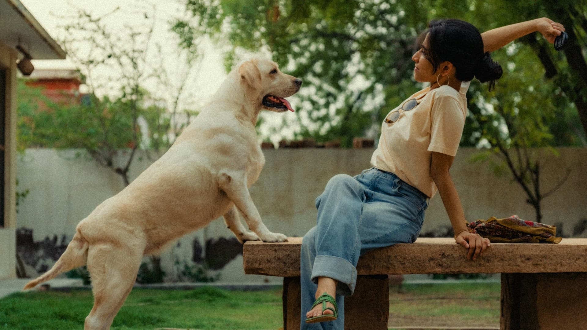 Perro y mujer mirandose con alegría a los ojos